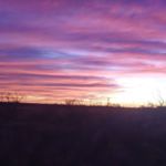 Profile Picture of Jacob Neufeld (@neufeld6234) on Instagram