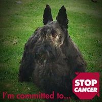 Profile Picture of Beth Arlington Albone (@beth-arlington-albone) on Quora