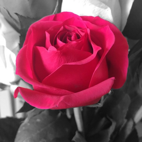 Autumn Wolf - Poshmark Profile Picture of Autumn Wolf (@butterflysallah) on Poshmark