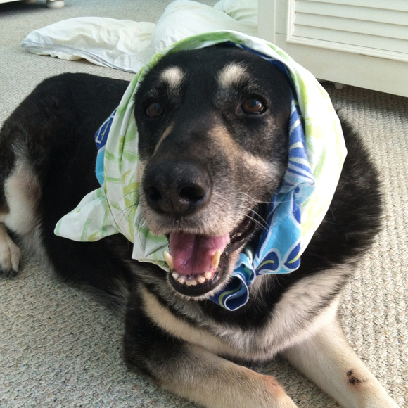 Profile Picture of Ashley Monzillo (@ashleymonzillo) on Poshmark