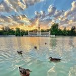 Profile Picture of Pardo Wilsson (@joseeejoyass) on Instagram