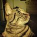 Profile Picture of Catherine Kilmer (@catherine.kilmer.1) on Facebook