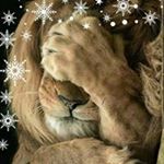 Profile Picture of Cathy Bertrand (@cathy.bertrand.5) on Instagram