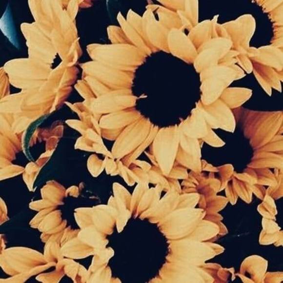 Profile Picture of Laura Ochieng (@lachieng234) on Poshmark