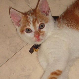 Francis Radke - Facebook Profile Picture of Francis Radke (@Francis-Radke) on Facebook