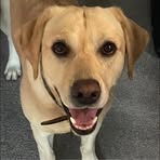 Profile Picture of Craig Braddock (@craig.braddock) on Facebook