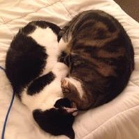 Ingrid Rood Skjelstad - Quora Profile Picture of Ingrid Rood Skjelstad (@ingrid-rood-skjelstad) on Quora