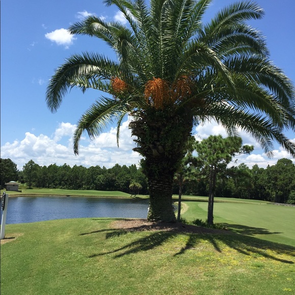 Profile Picture of Brian Lee (@brian7835) on Poshmark