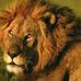 Profile Picture of Michael Rehse (@michael.rehse.35) on Facebook