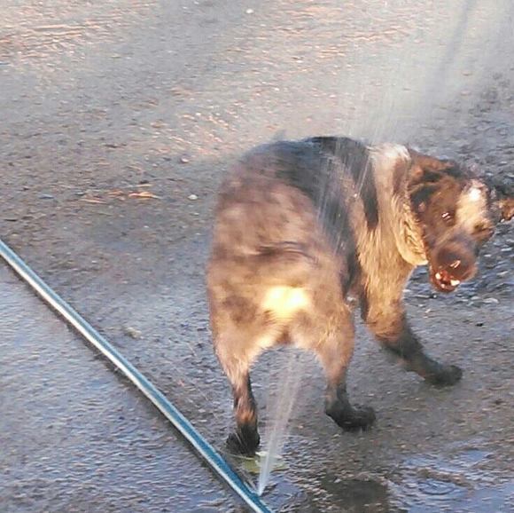 Profile Picture of Becky Hoeflicker jacobitz (@beckyhoeflicker) on Poshmark