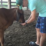 Jose Manuel Pastrana - Instagram Profile Picture of Jose Manuel Pastrana (@josepastrana17) on Instagram