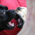 Profile Picture of Charles Joseph (@charlesjosephsr) on Instagram