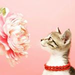 Profile Picture of delya (@evamanoniu) on Instagram