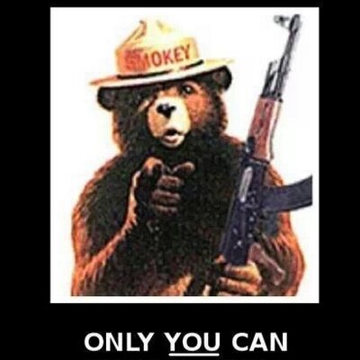 Profile Picture of Travis Moody (@travismoody) on Twitter
