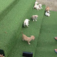 Profile Picture of Ben Walpole (@ben-walpole-10) on Quora