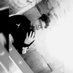 Profile Picture of Joel_carabajal_ (@Joelcarabajal8) on Twitter