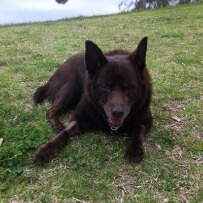 Profile Picture of Bernard Kelly (@BernardatBKP) on Twitter