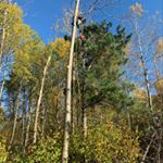 Profile Picture of Joshua Temple (@youngcutters) on Instagram