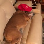 Profile Picture of nathaniel matherne (@nathanielmatherne) on Instagram