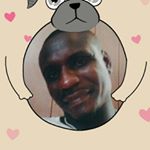 Profile Picture of wild cat (@andre.powers) on Instagram