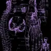Profile Picture of alexmillett0 (@alexmillett0) on Tiktok