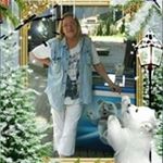 Profile Picture of Gordana Stefanovic (@gordana.stefanovic.3551) on Instagram