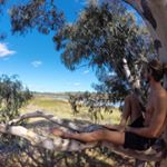 Profile Picture of Steve Aldridge (@wildmovementperth) on Instagram