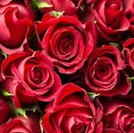Profile Picture of Leonor Tompkins (@leonor.tompkins.2024) on Facebook