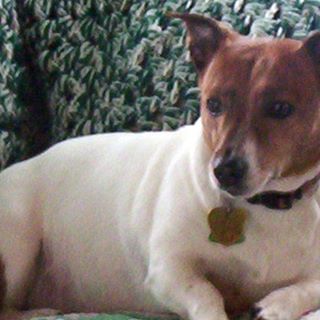 Profile Picture of Ed Stirrett (@ed.stirrett) on Facebook