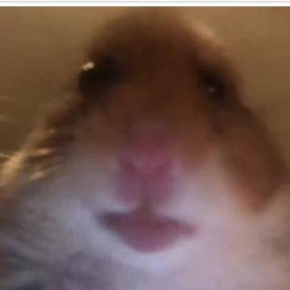 Profile Picture of David Lamarche (@david_lamarche) on Poshmark