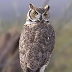 Profile Picture of Joseph Thomas Guyton (@xlovely_joeyx123) on Instagram