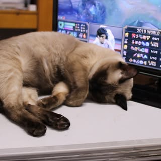 Profile Picture of Colin Bratcher (@colinbratcher_) on Instagram