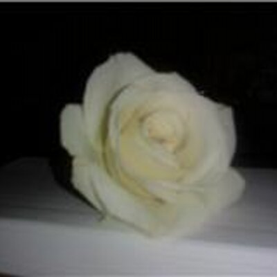 Profile Picture of Bailey Luce (@SweetgurlBay29) on Twitter