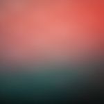 Profile Picture of Liam Scavone (@liam.scavone.35) on Instagram