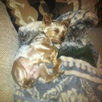 Profile Picture of Carl Pierce (@smoke1970) on Instagram