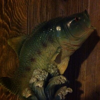Profile Picture of Cherri Fowler (@@mcfowler74) on Twitter
