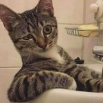 Profile Picture of Leandre De Bonnefoy (@leleandre_dbf) on Instagram