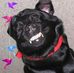 Profile Picture of Bernard Delaney (@bernard.delaney.12) on Facebook