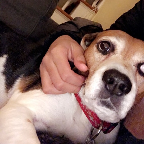 Profile Picture of Katrina Samuda (@samudak) on Poshmark