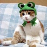 Profile Picture of Jason Quach (@jason_byefly) on Instagram