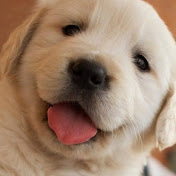 Profile Picture of Adrian Davis (@adriandavis3536) on Youtube