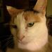 Profile Picture of Randy Terpstra (@randy.terpstra.92) on Facebook
