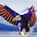 Profile Picture of scott jordan (@fixitright1969) on Pinterest