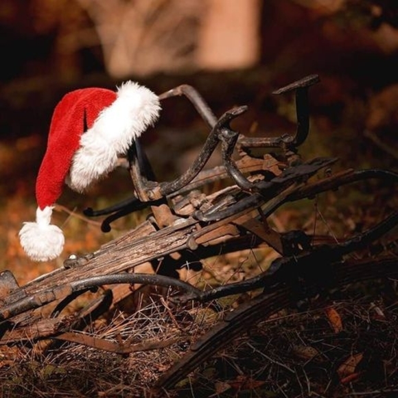 Profile Picture of Nicole Ciccione (@nciccione5) on Poshmark