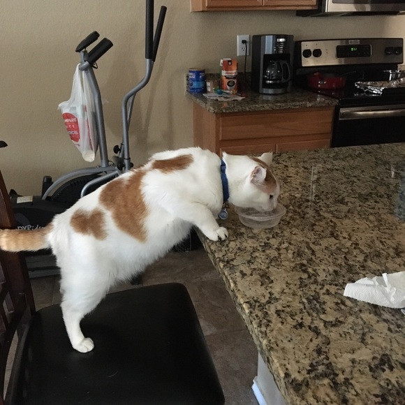 Profile Picture of Joseph Columbus (@jscolumbus7036) on Poshmark