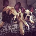 Profile Picture of Caesar & Vincent (@caesarandvincent) on Instagram