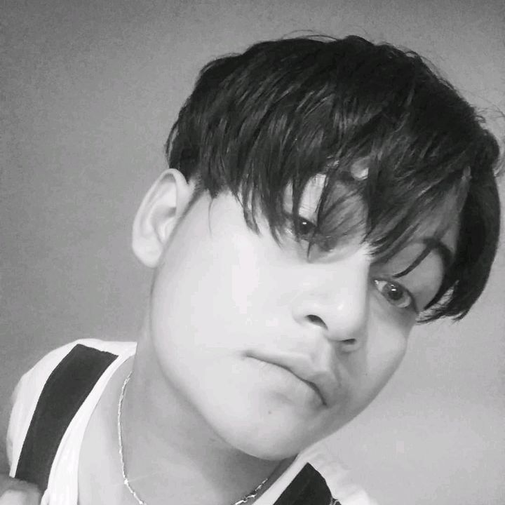Profile Picture of SebastianHan22 (@sebastianhan22) on Tiktok