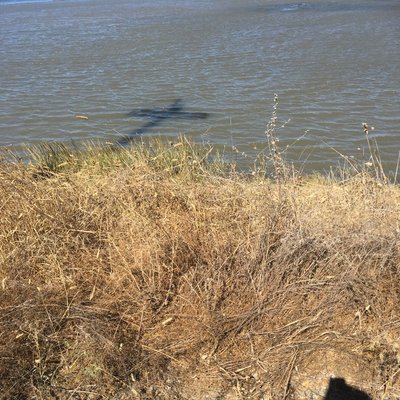 Profile Picture of Yolanda Cook (@tfmcc61) on Twitter