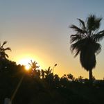 Profile Picture of jamilalasmar (@jamilalasmar) on Instagram