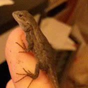 Profile Picture of Patrick Cain (@patrickcain9727) on Youtube